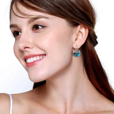 Abalone Round Drop Earrings by Gemsme